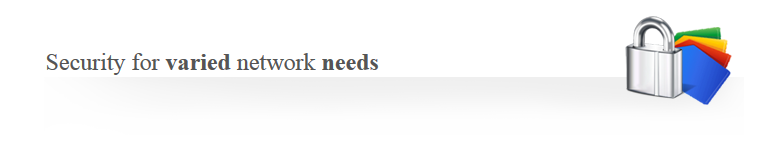Security for varied network needs